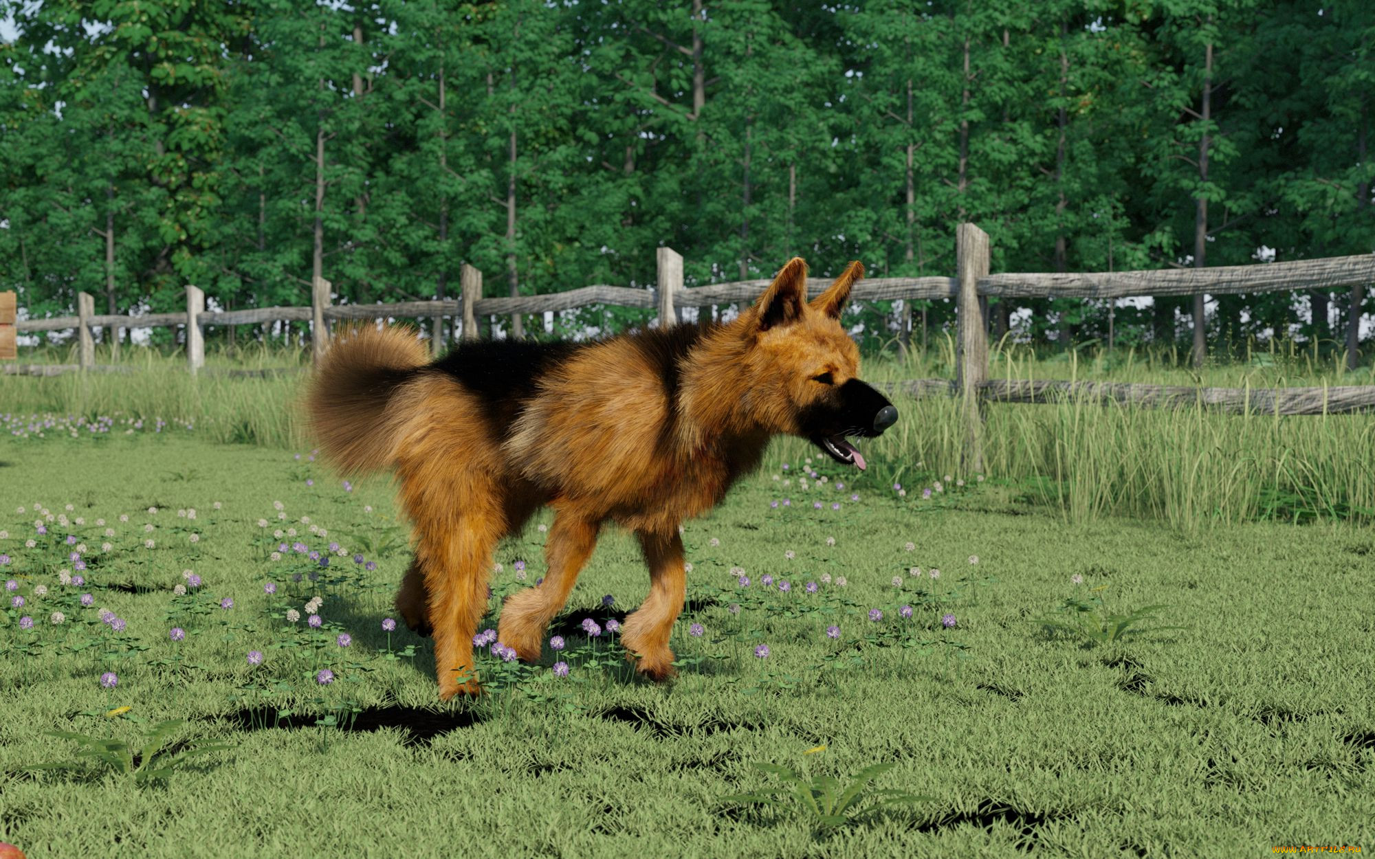 3 ,  , animals, , , 